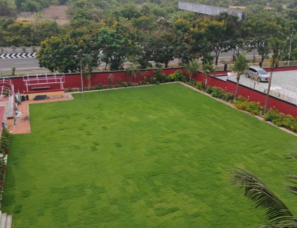 Garden Lawn