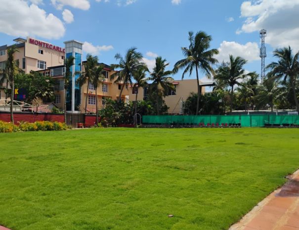 Garden Lawn