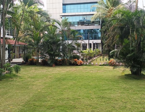 Garden Lawn