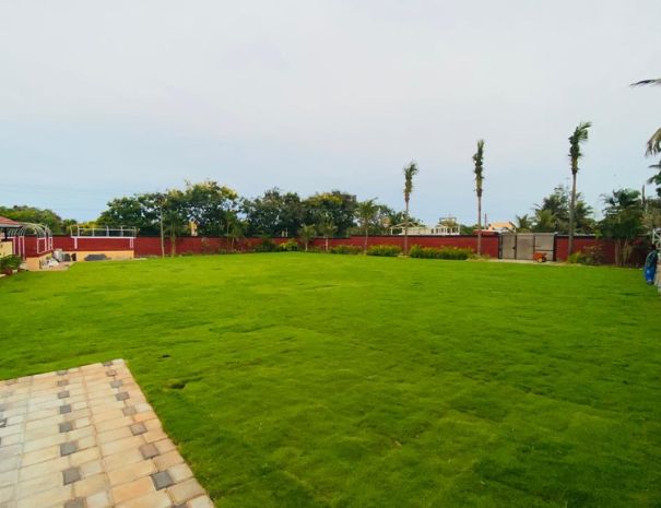 Garden Lawn