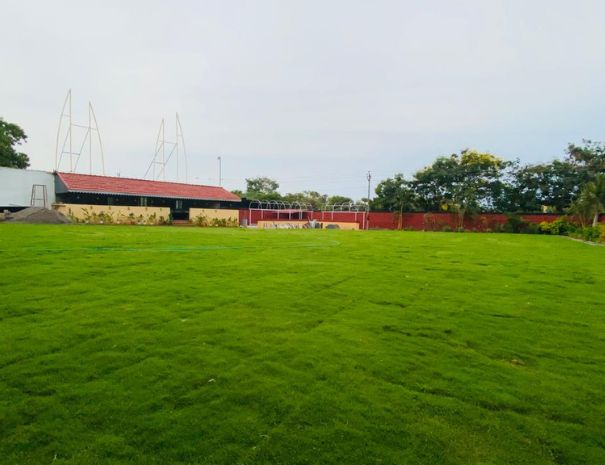 Garden Lawn