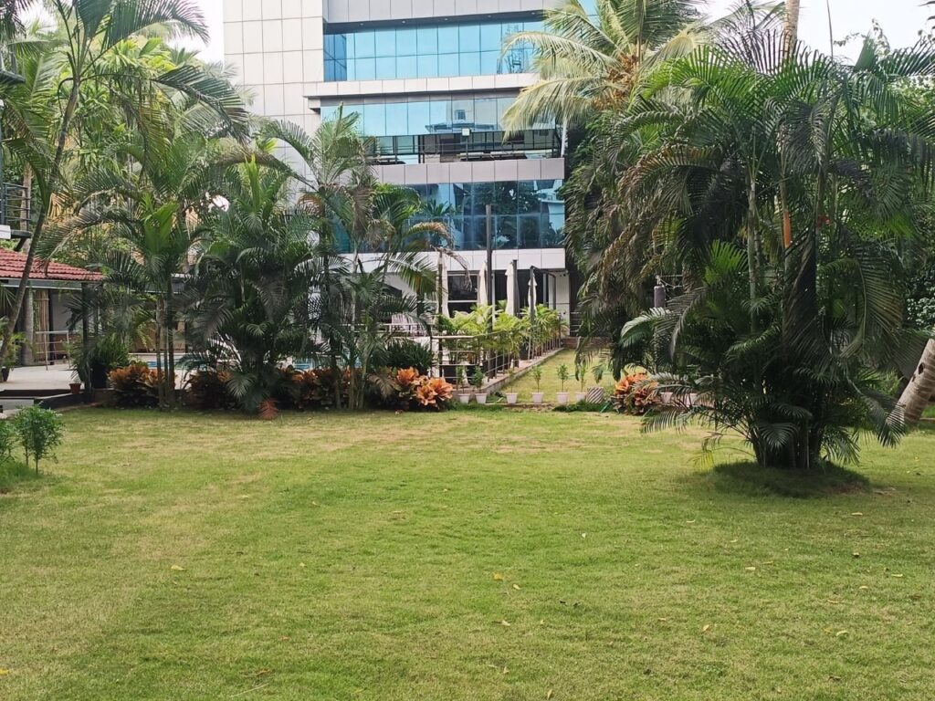 LAWN 1
