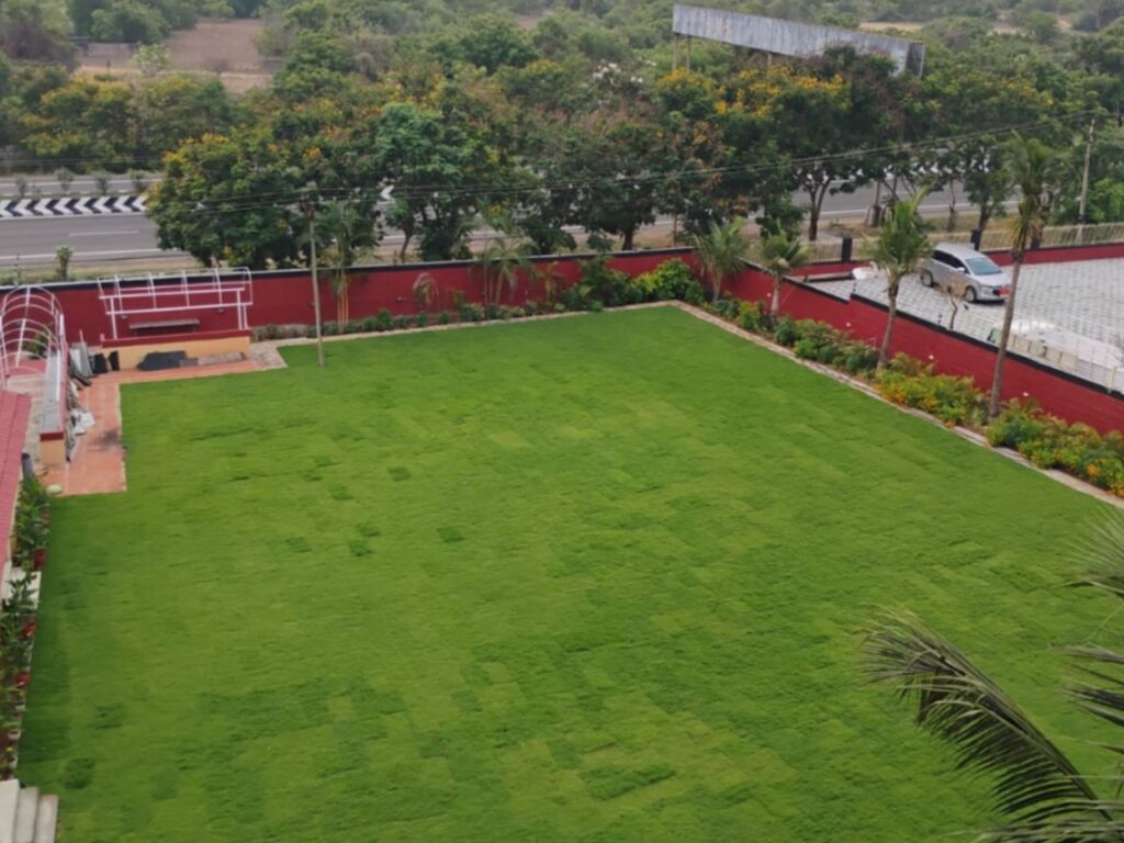 LAWN