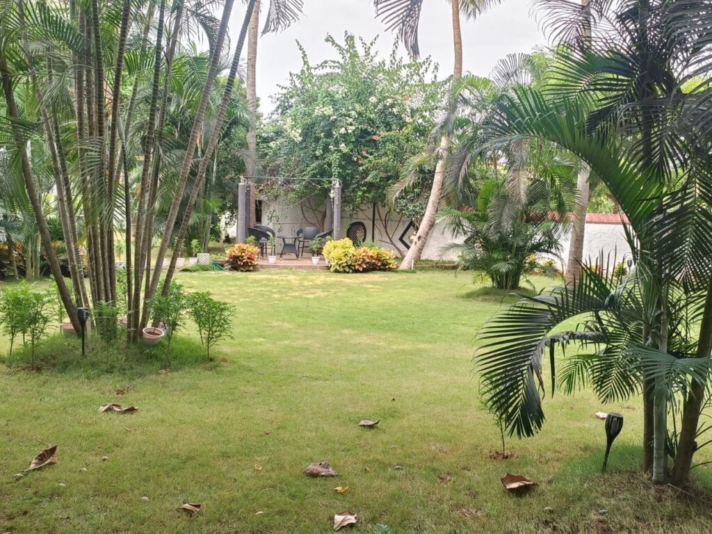 LAWN 2