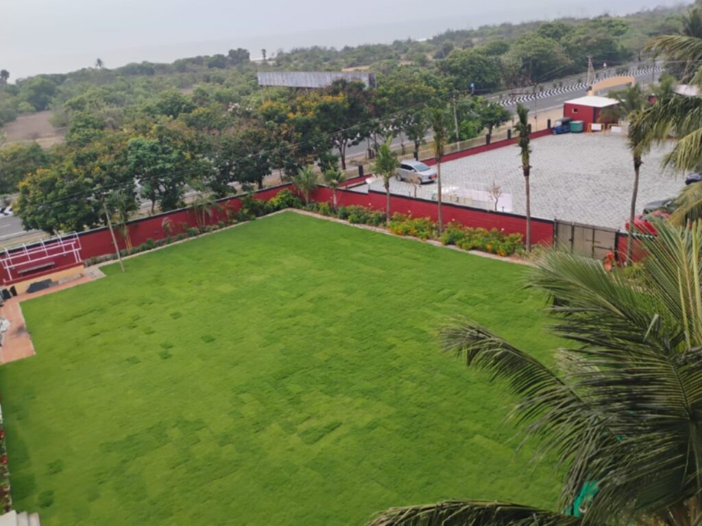 LAWN 3